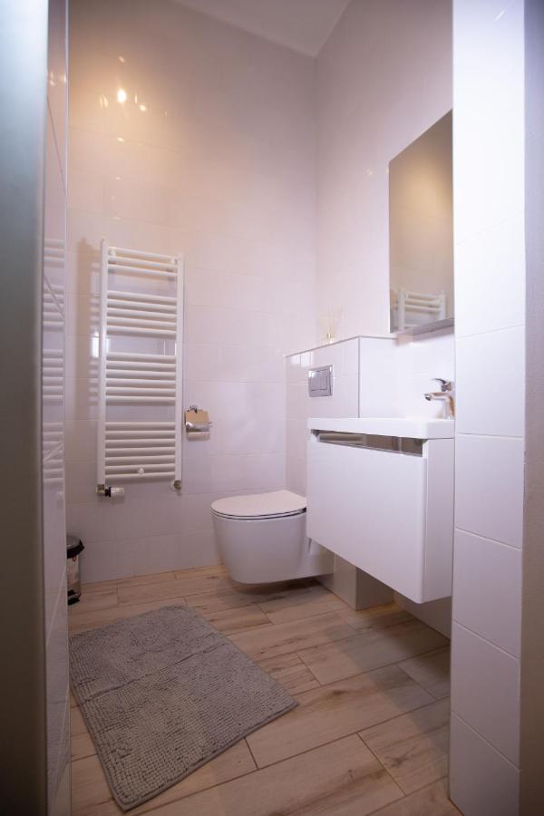 Alessia Apartment In The Old Town Timişoara Buitenkant foto